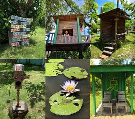 藝術點亮土溝 鄉村觀察 臺灣