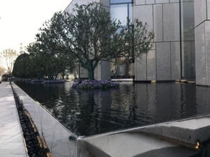 景觀干貨來(lái)襲丨水景實(shí)用工藝