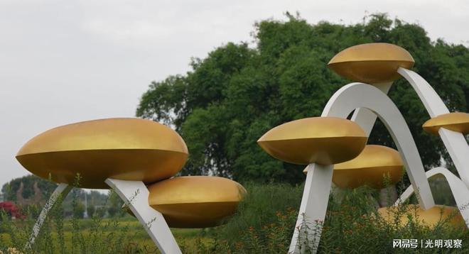 鄉(xiāng)村振興看這里:成都市郫都區(qū)德源稻蒜現(xiàn)代農(nóng)業(yè)園區(qū)